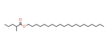 Eicosyl 2-methylpentanoate